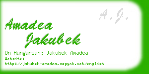 amadea jakubek business card